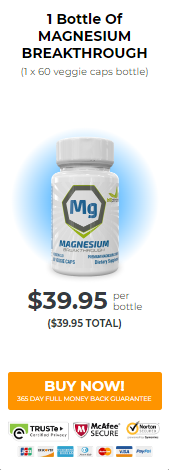 Bioptimizers Magnesium Breakthrough - 1 Bottle